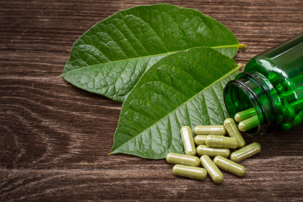 White Malay Kratom A Boosting Strain for Focus and Energy